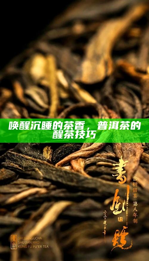 唤醒沉睡的茶香，普洱茶的醒茶技巧